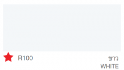 สีน้ำอเนกประสงค์ TOA ROOF PAINT #R100 <br> (1กล.) สีขาว - Image 2