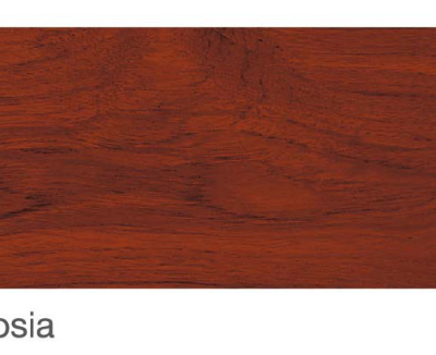 สีย้อมไม้ TOA WOODSTAIN ฟิล์มสีเงา #G09 <br> (1/4กล.) สีไม้มะค่า