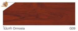 สีย้อมไม้ TOA WOODSTAIN ฟิล์มสีเงา #G09 <br> (1กล.) สีไม้มะค่า - Image 2